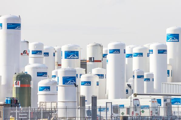 linde kopen