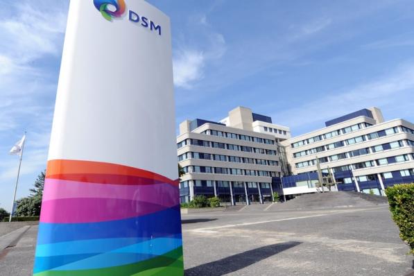 DSM