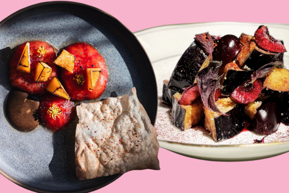 recettes vegetale aurelia d hollander frondes