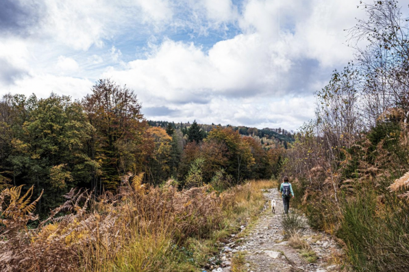 Ces 5 balades donnent envie de profiter de l'automne en Wallonie - SDP
