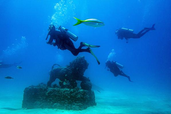 Le Neptune Memorial Reef, cimetière sous-marin utile a la faune aquatique