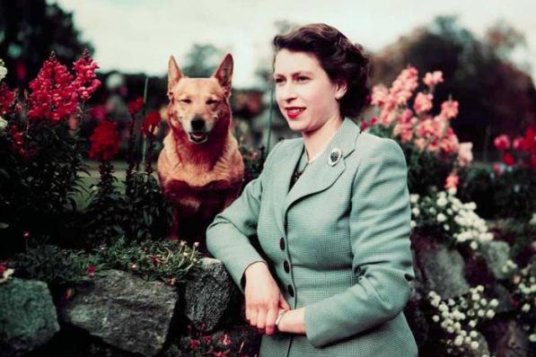 La reine ELizabeth II