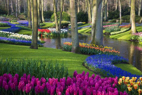 Keukenhof