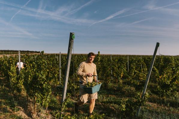 Mont des Anges - Antoine Melis