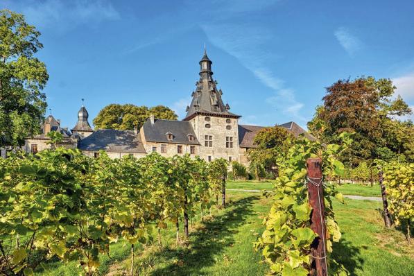 Château de Bioul en Belgique