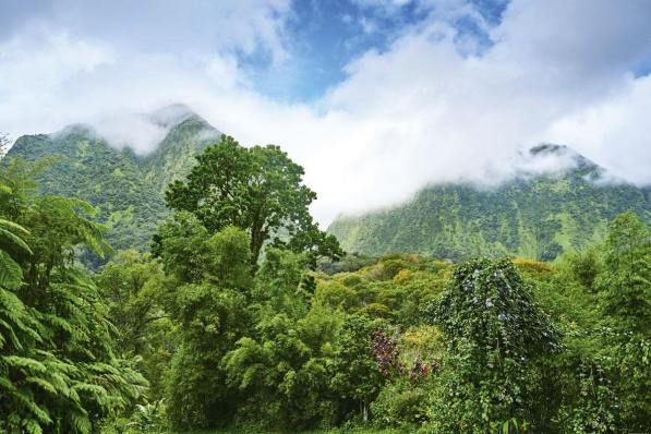 La Martinique, paradis pour les férus de nature
