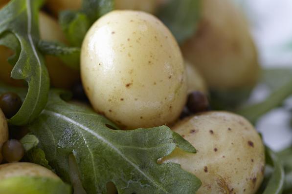 Gerookte aardappelsalade met rucolamayonaise