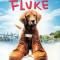 Fluke