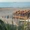 Cadzand