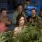 Weeds