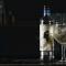 Jenever Twist Tonic
