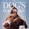‘A Dog’s Way Home’ van W. Bruce Cameron