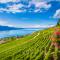 9. Vevey, Zwitserland