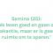 Semina (25) – € 500