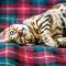 Leeuw (23/07 – 23/08): een Bengaalse kat