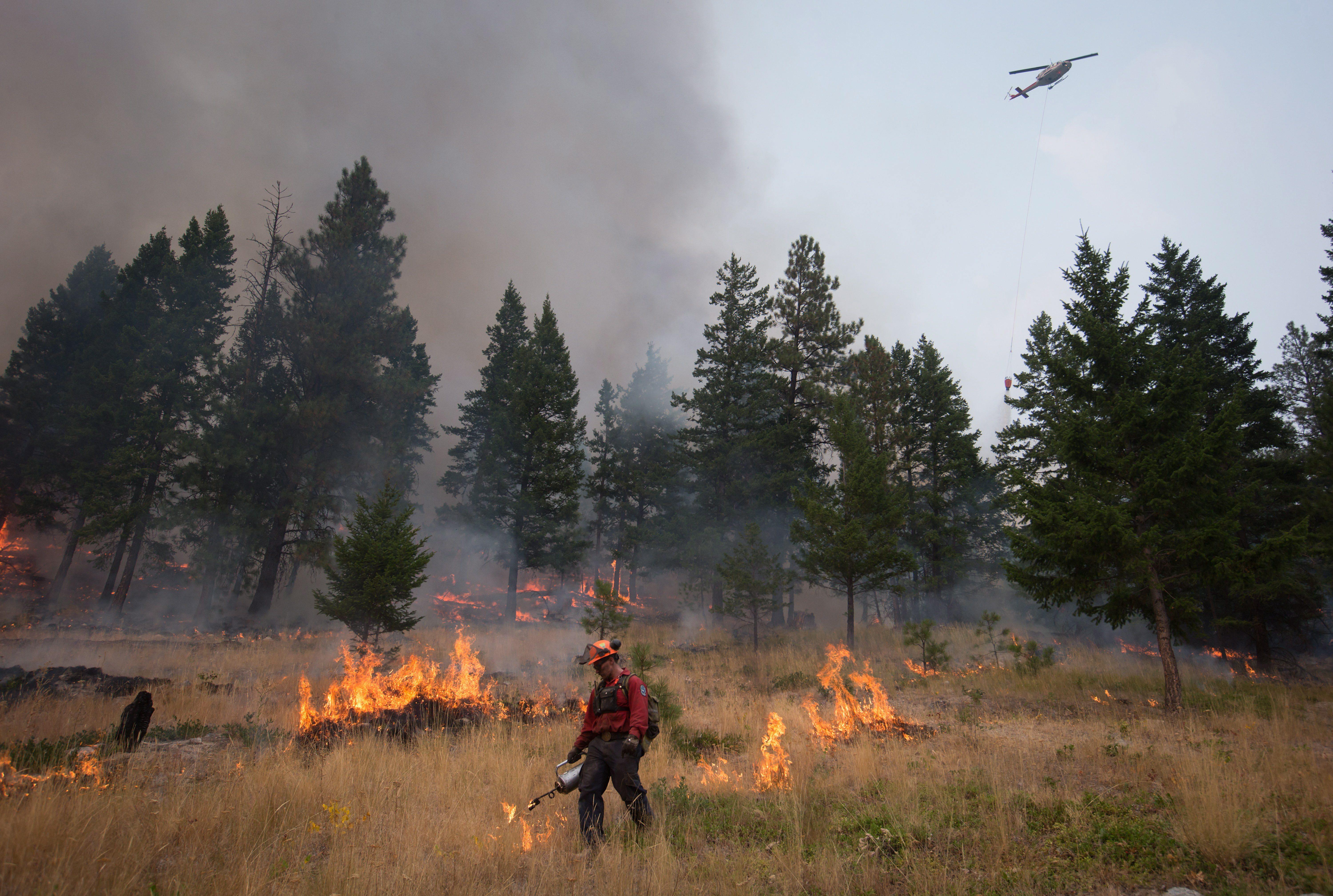 In Peachland in Brits-Columbia probeert de brandweer het vuur onder controle te krijgen.