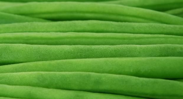 Zoveel zomergroenten