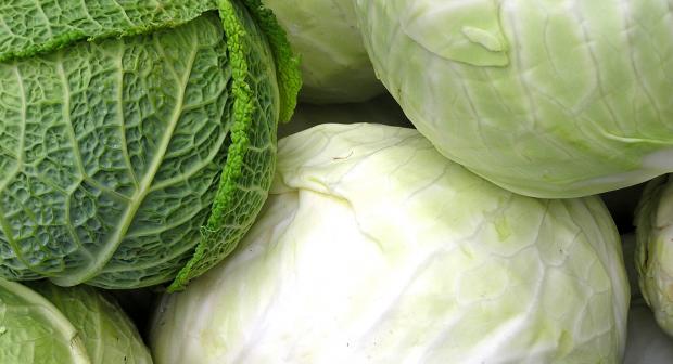 Wintergroenten in de keuken