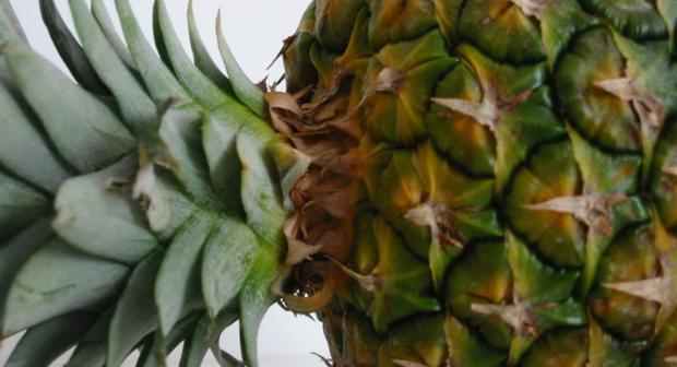 Top 10 lentegroenten en -fruit