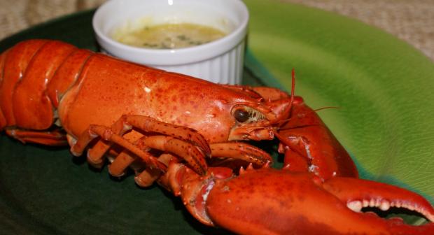 Dit is het lekkerst in de lente