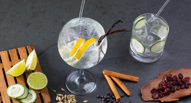 Steel de show met je eigen gin tonic bar