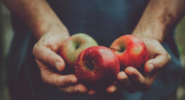 Onweerstaanbaar met appel: tips en recepten met hét fruit van bij ons