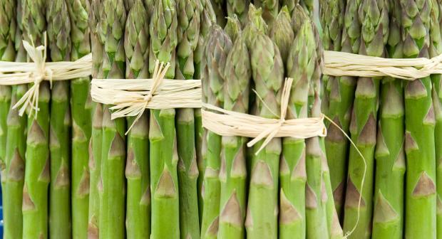 Asperges: bien les choisir, les préparer et les conserver