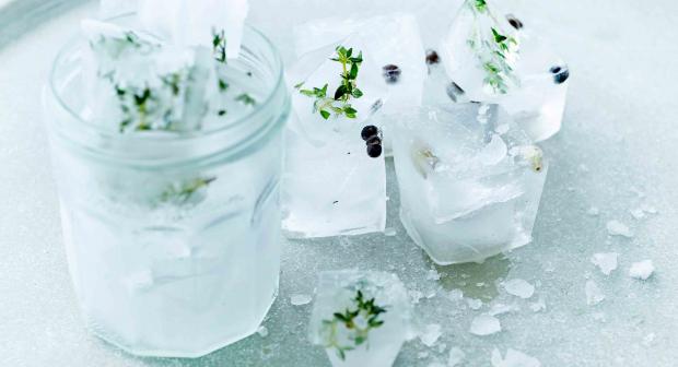 De mooiste ijsblokjes voor jouw zomerdrankjes