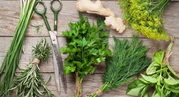 Zo hak je verse kruiden makkelijk fijn