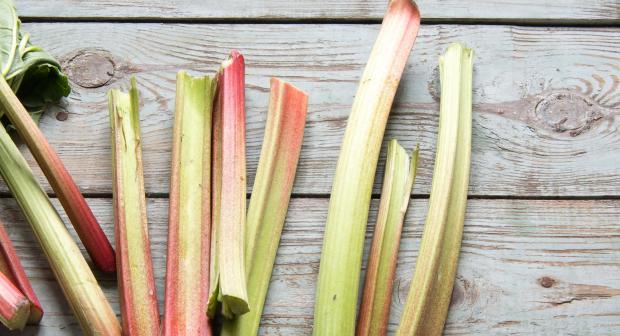 Alles over rabarber
