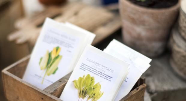 Indoor tuinieren: wat kun je binnen zaaien?