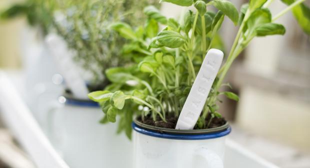 DIY: mooie labels voor je moestuin