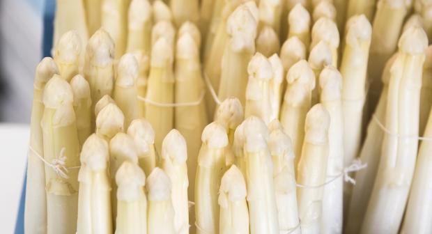 13 aspergeweetjes die misschien wel eens van pas komen