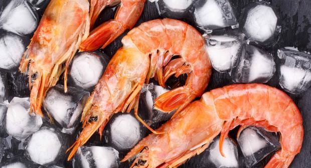 Garnalen, gamba, scampi: wat is het verschil?