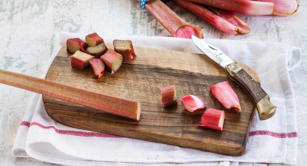 6 choses à savoir sur la rhubarbe