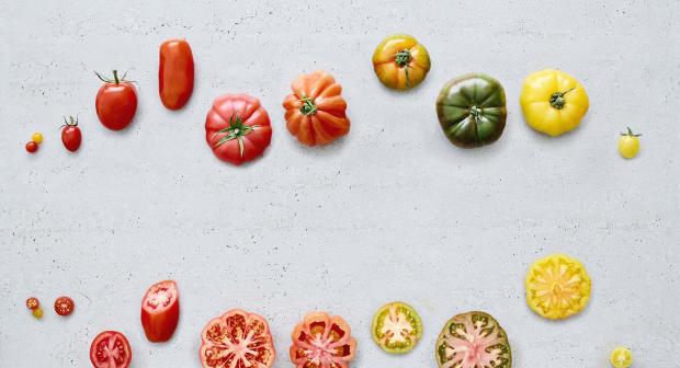 Met deze 10 tomatensoorten maak je de lekkerste gerechten