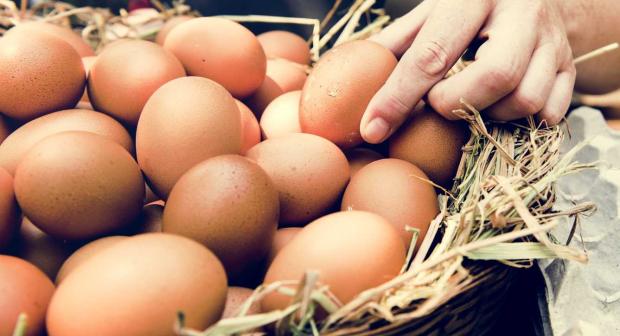 7 dingen die je nog niet wist over eieren