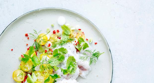 Het grote Noordzee ABC (deel 3)