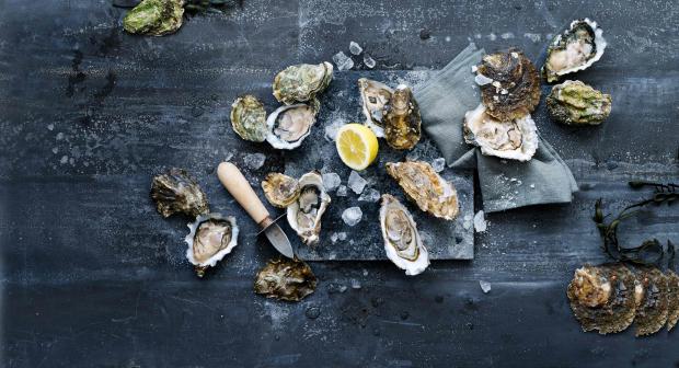 Bezienswaardigheden bekijken stikstof tent Parels van oesters - Libelle Lekker