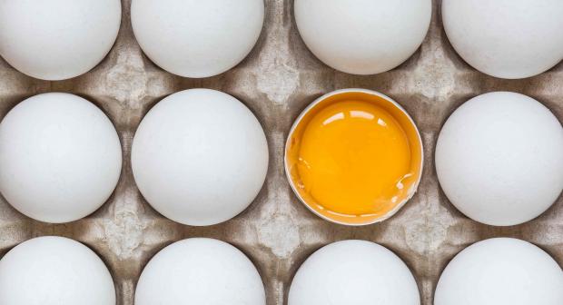 14 interessante weetjes over eieren