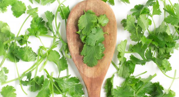 Waarom koriander voor sommige mensen smaakt als zeep