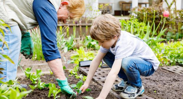 De Vierkante Meter aflevering 2: de eerste scheutjes