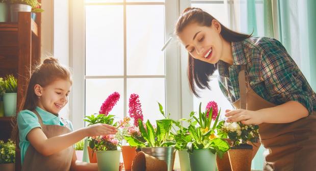 De Vierkante Meter aflevering 1: zo start je je eigen moestuin