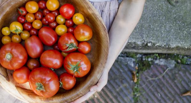 Met dit trucje smaken je tomaten rijper