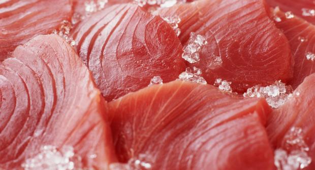 Duurzame tonijn: dit moet je weten