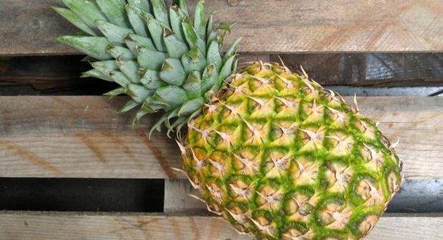 Comment faire pousser un ananas à la maison? (vidéo)