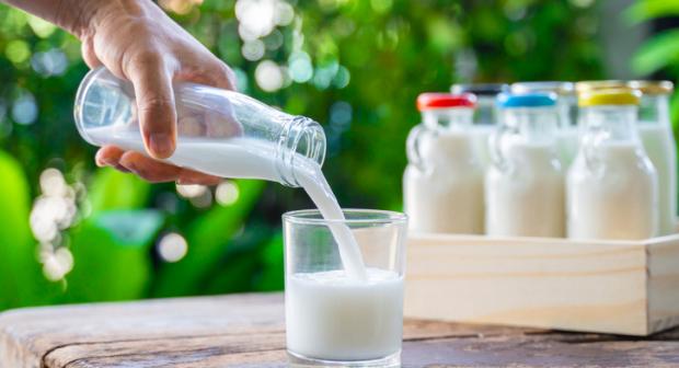 De juiste plantaardige melk voor elk recept
