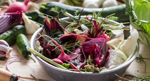 6 déchets de cuisine qui feront des merveilles dans vos plantes ou au potager