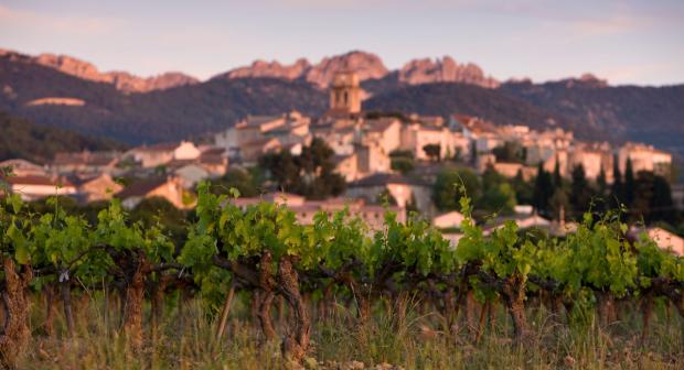 Wijnen uit de Côtes du Rhône, een verhaal van passie, al generaties lang