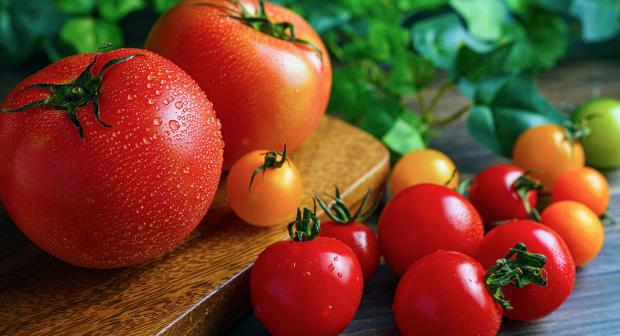 Alles over tomaten en wat je er mee maakt